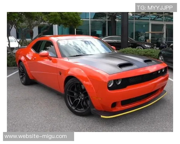 本菲卡与费伦斯精彩对决直播全程回顾与分析