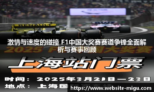 激情与速度的碰撞 F1中国大奖赛赛道争锋全面解析与赛事回顾