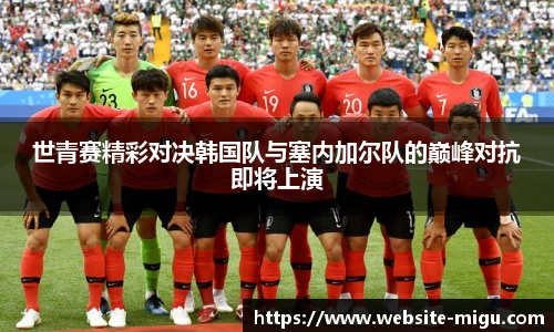 咪咕视频体育